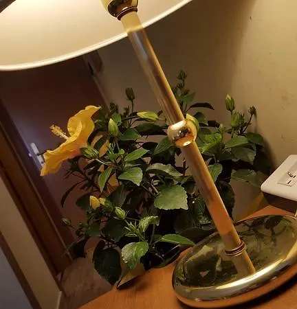 Nuovo キエーティ