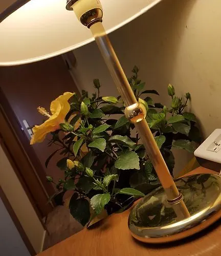 诺佛阿尔伯格酒店 基耶蒂